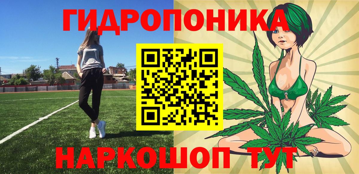 Бошки Шишки Bruce Banner  Вход с VPN  Сатка  Канабис индика  Каннабис Ganja 